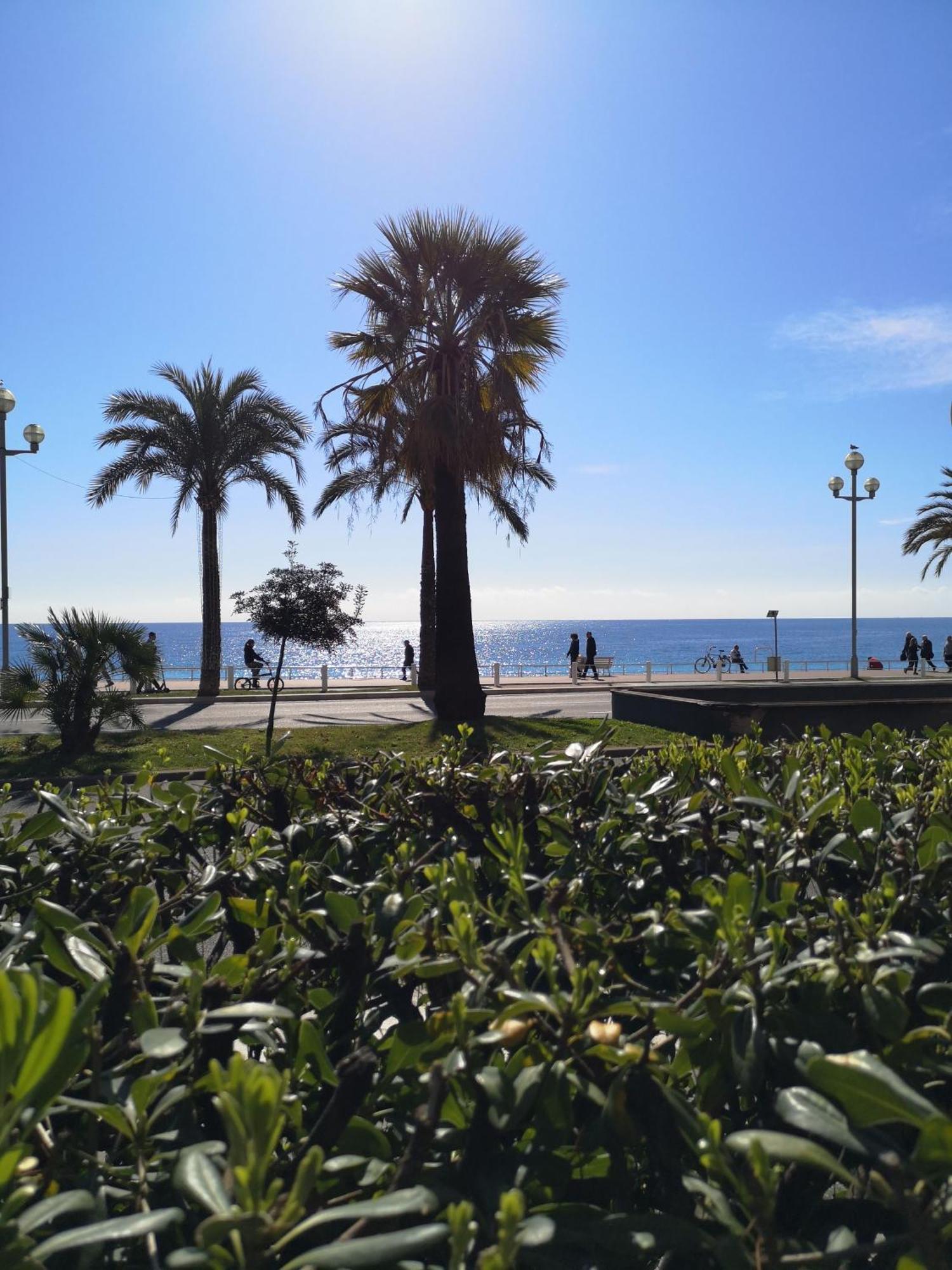 尼斯Garden Atlantide Promenade公寓 外观 照片