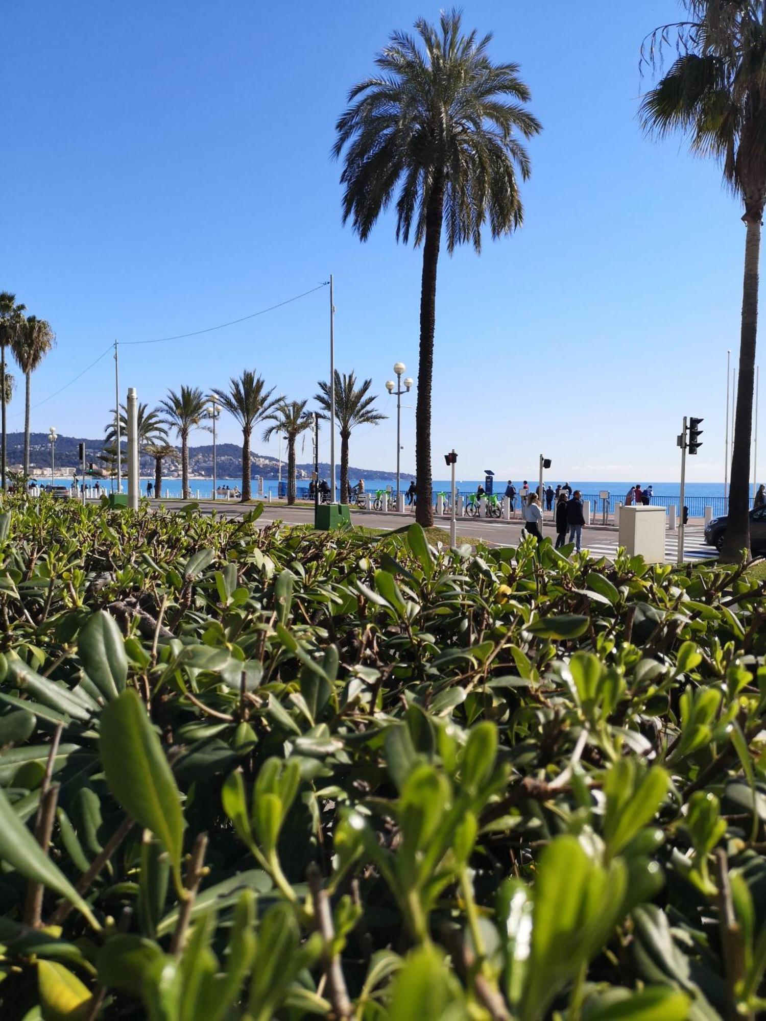 尼斯Garden Atlantide Promenade公寓 外观 照片
