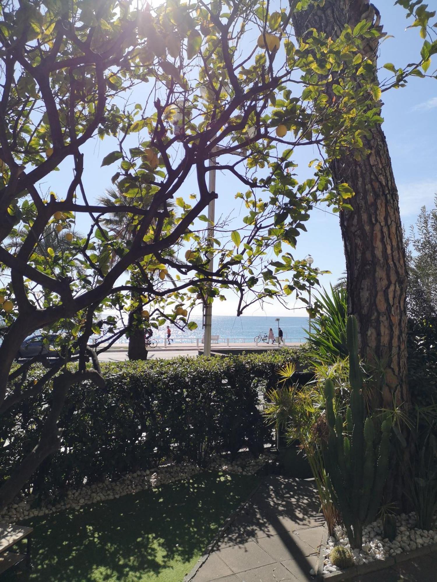 尼斯Garden Atlantide Promenade公寓 外观 照片