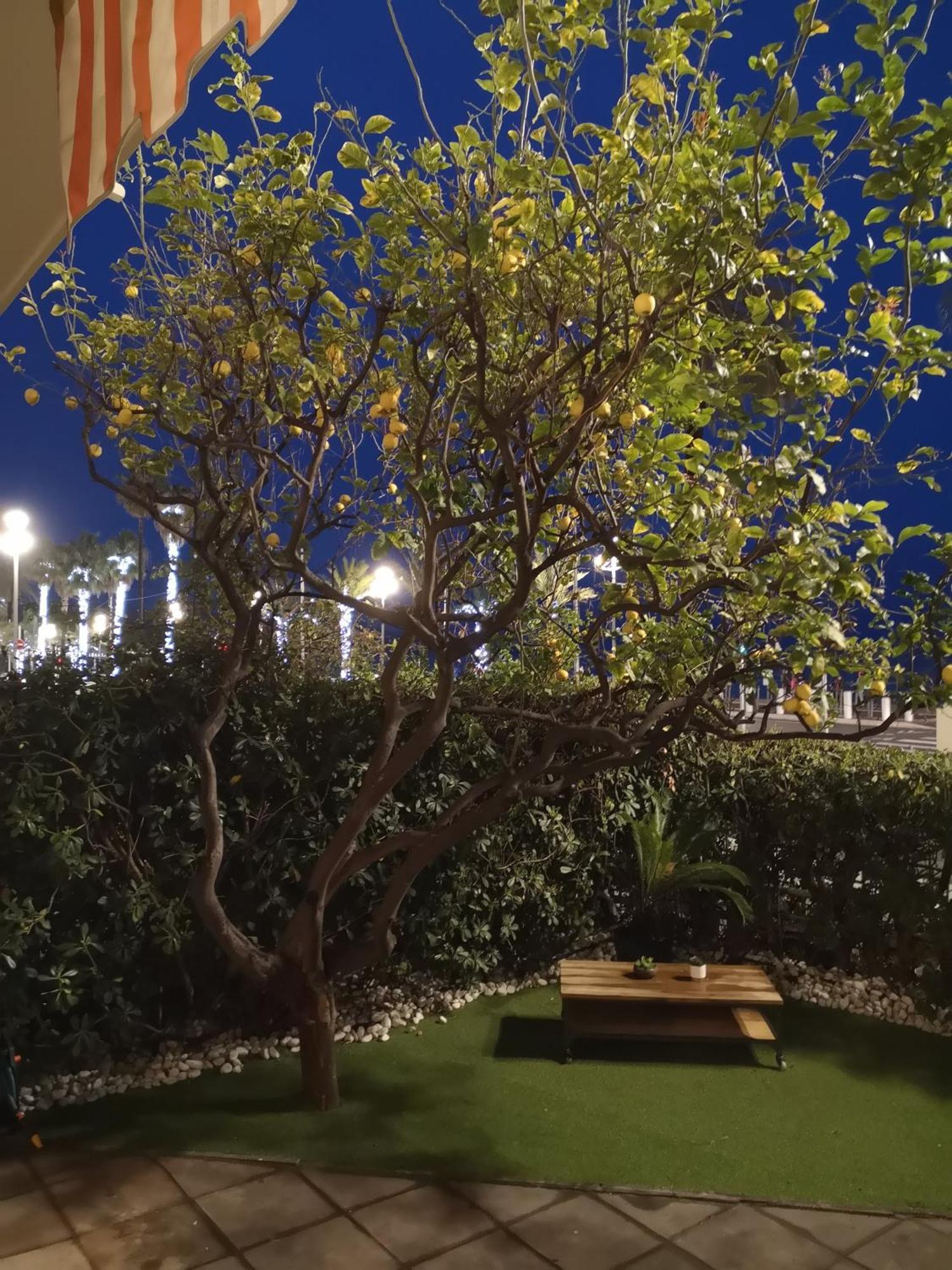 尼斯Garden Atlantide Promenade公寓 外观 照片