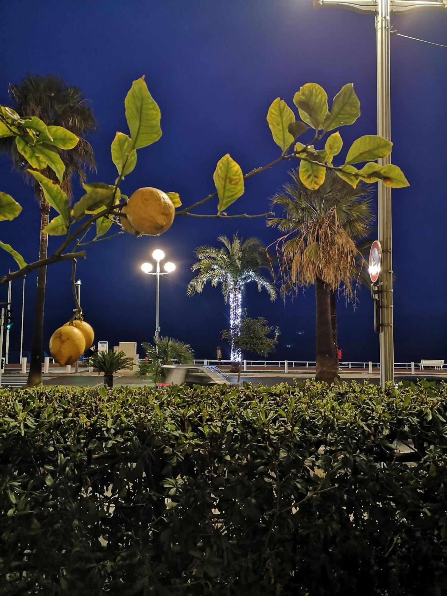 尼斯Garden Atlantide Promenade公寓 外观 照片