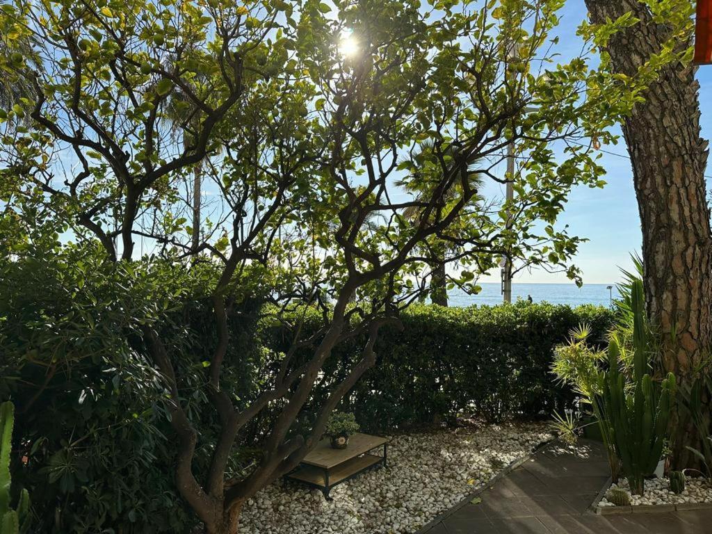 尼斯Garden Atlantide Promenade公寓 外观 照片