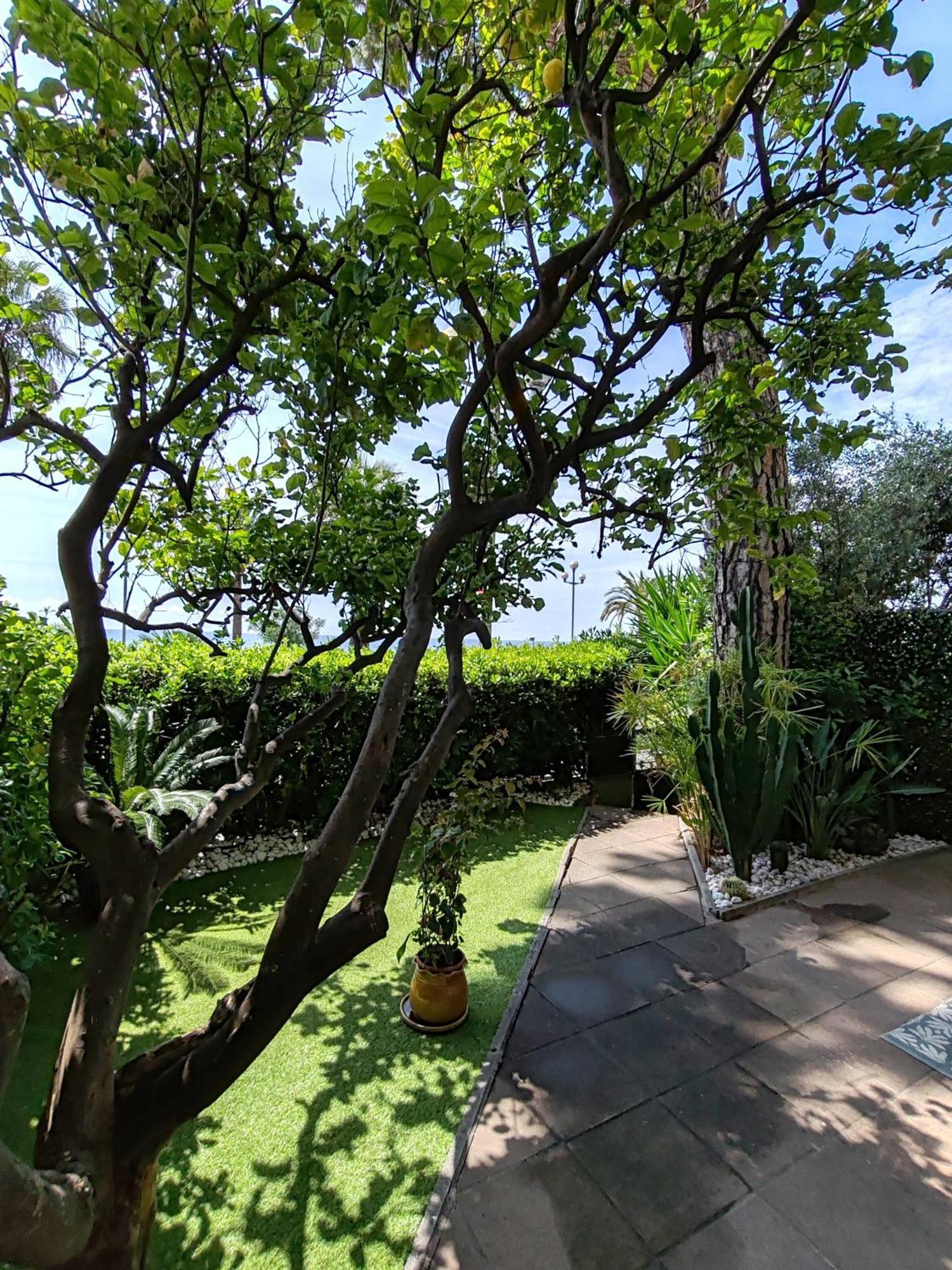 尼斯Garden Atlantide Promenade公寓 外观 照片